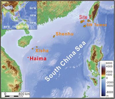 Lipid Biomarker Patterns Reflect Nutritional Strategies of Seep-Dwelling Bivalves From the South China Sea